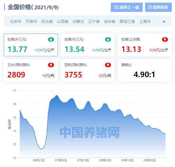 今日猪价涨跌趋势解析